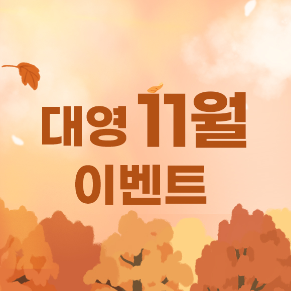 11월 이벤트